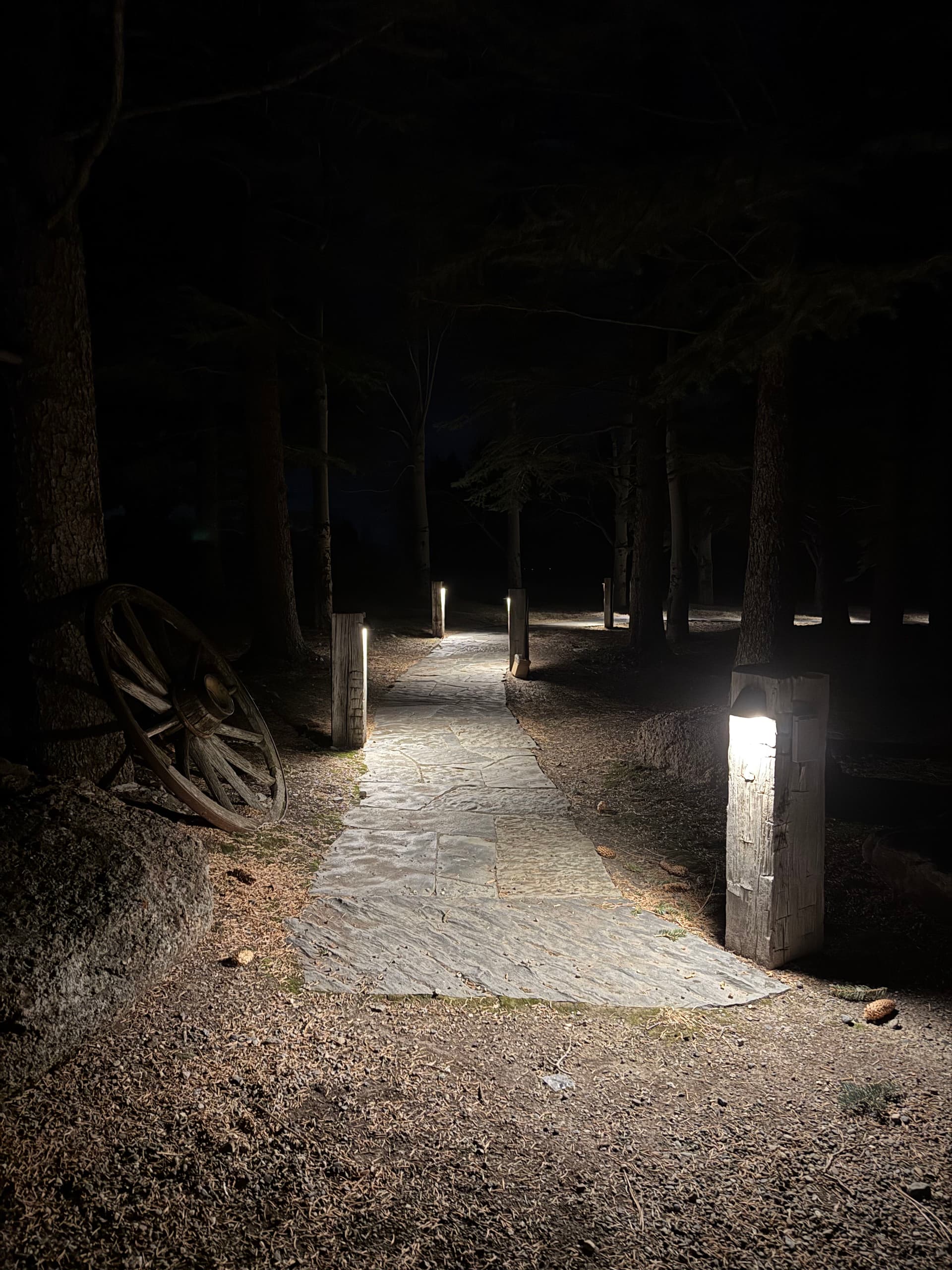 Gallery photos for Pathway Lighting Project in Paradise Valley: Image #1