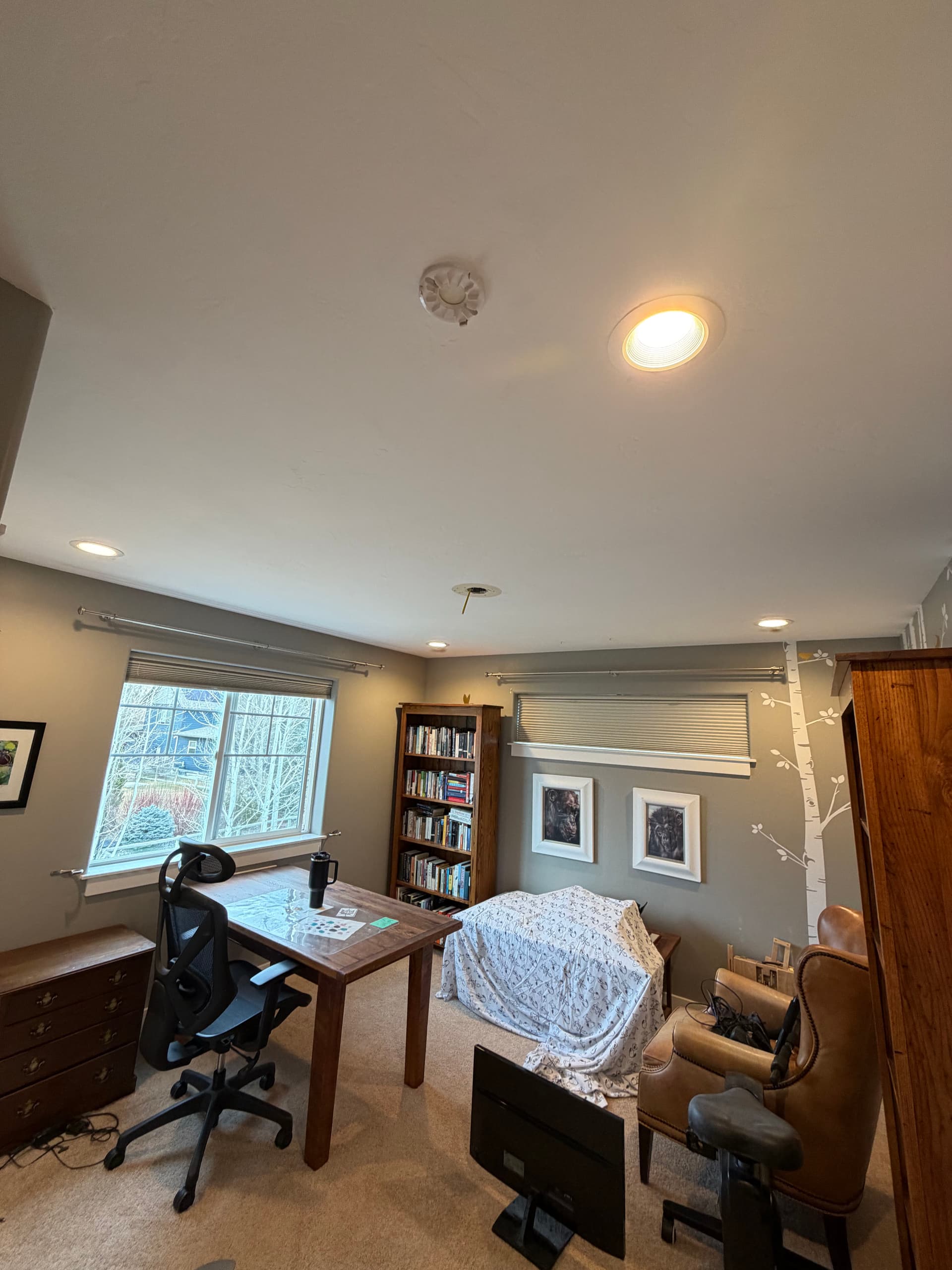 Shining New Light on Home Renovations