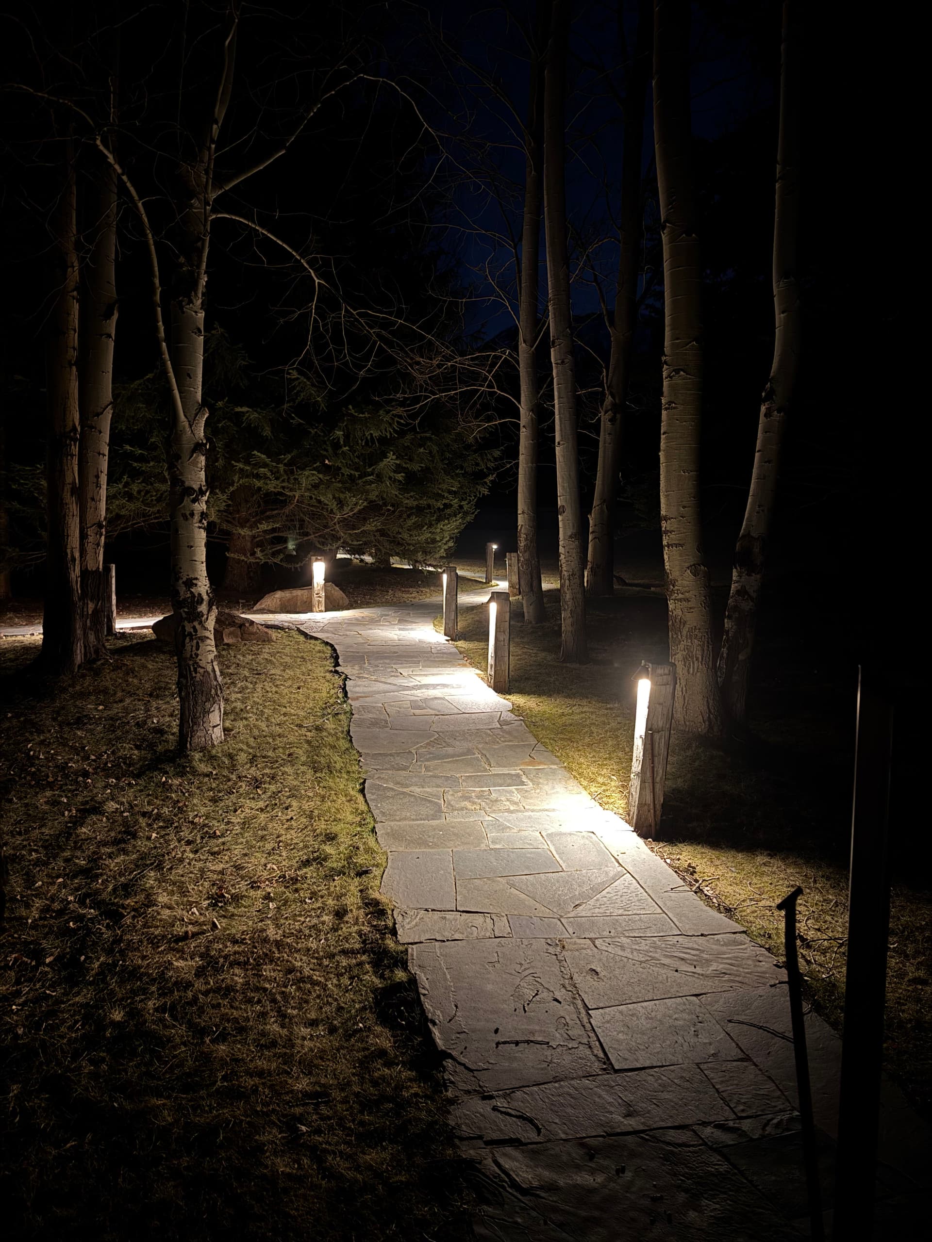 Pathway Lighting Project in Paradise Valley image