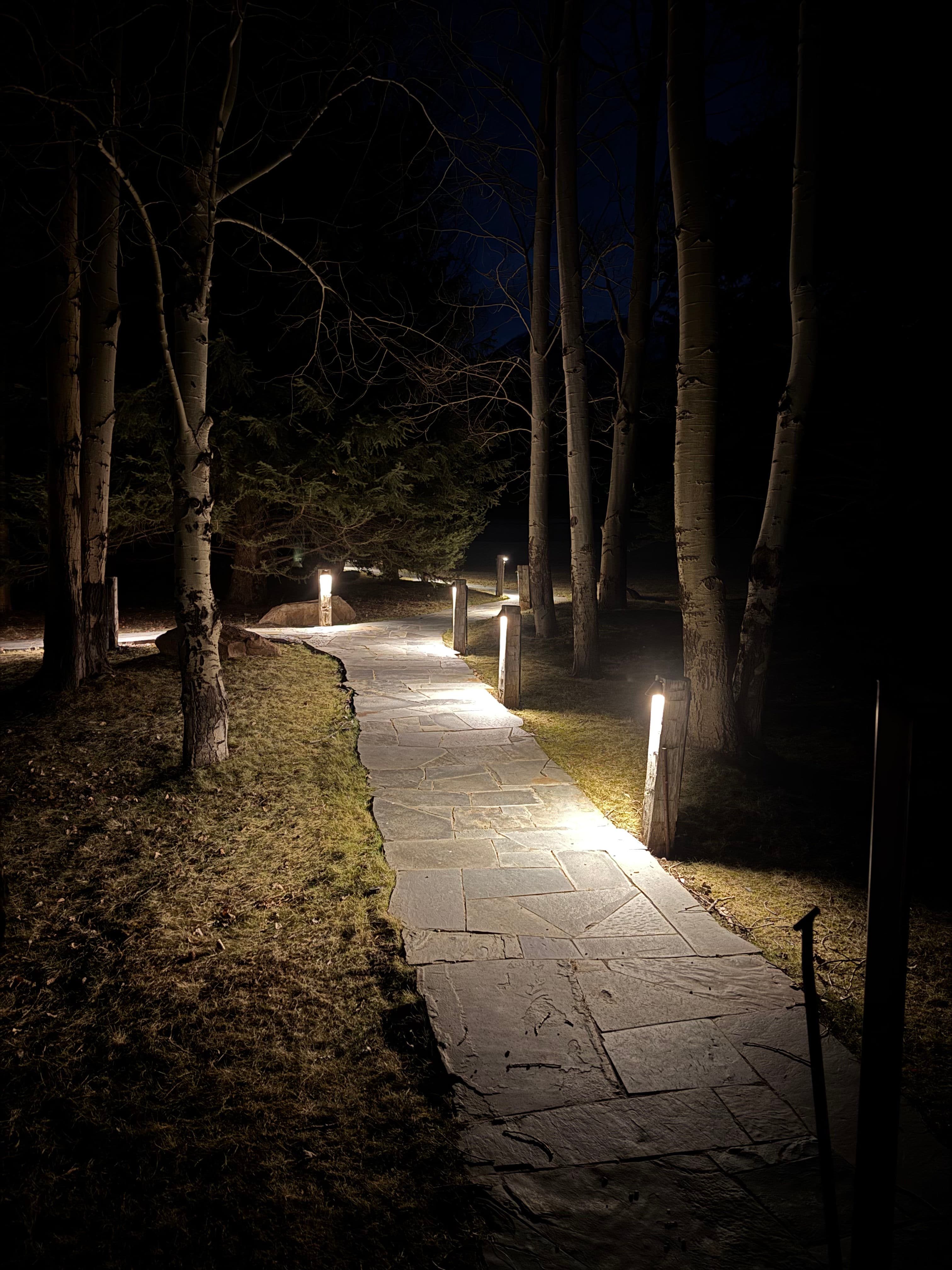 Project Pathway Lighting Project in Paradise Valley image